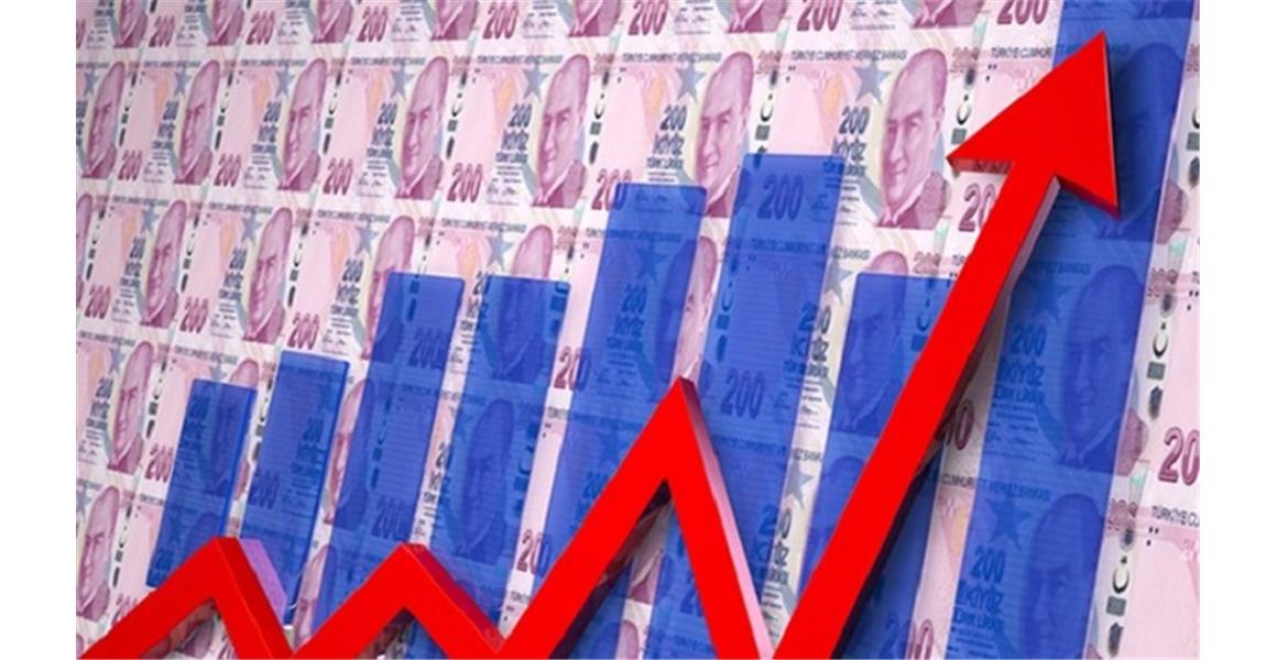 ENFLASYONA ENDEKSLİ MAAŞ ZAMMI KAMU ÇALIŞANLARINI ZARARA UĞRATIYOR