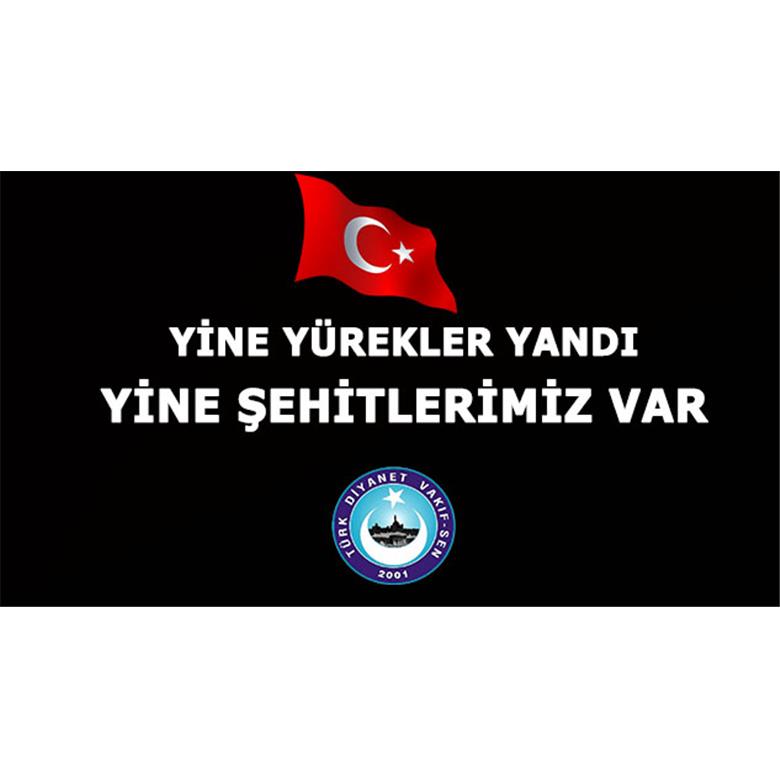 NEREYE KADAR....YİNE ŞEHİT... YİNE ACI HABERLER... YİNE SÖNEN OCAKLAR