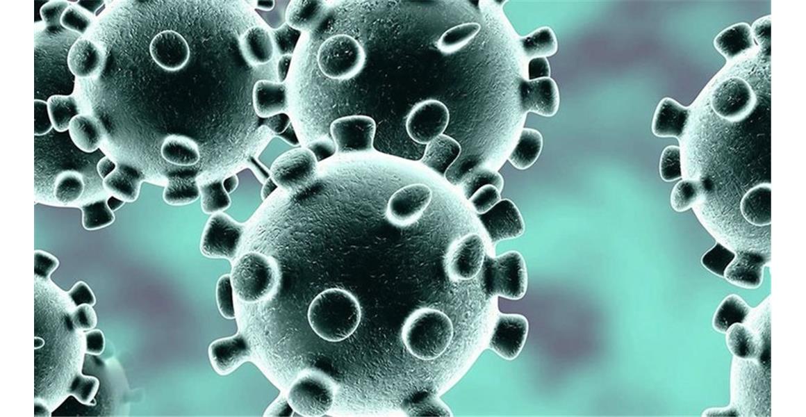 KURALLARA VE UYARILARA RİAYET EDELİM